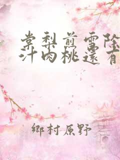 棠梨煎雪除了蜜汁肉桃还有什么肉