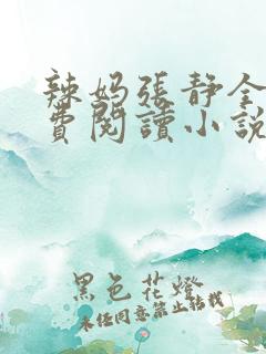 辣妈张静全文免费阅读小说
