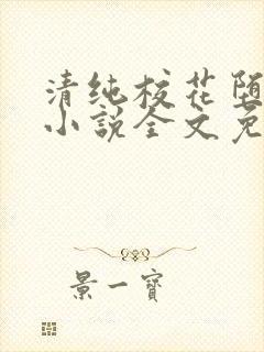 清纯校花堕落记小说全文免费阅读金鑫鑫