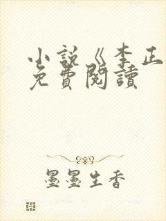 小说《李正安》免费阅读