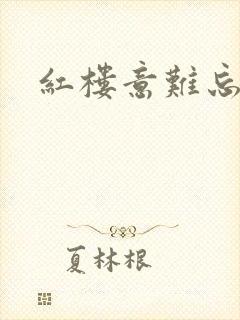 红楼意难忘