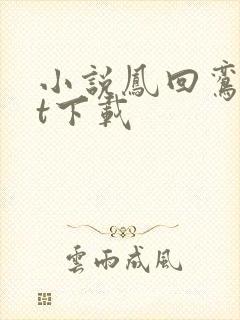 小说凤回鸾txt下载