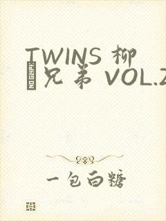 TWINS 柳澤兄弟 VOL.2