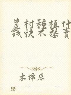 农村种植什么赚钱快不愁卖