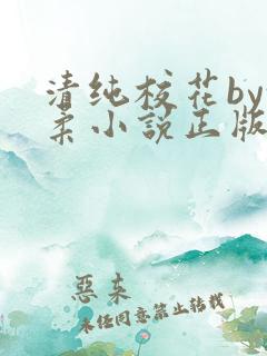 清纯校花by沈柔小说正版