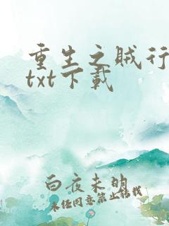 重生之贼行天下txt下载