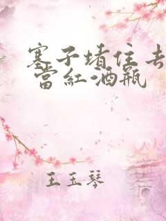 塞子堵住去上学 当红酒瓶
