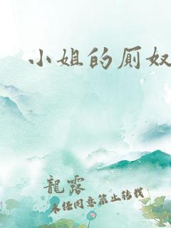 小姐的厕奴