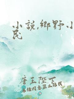 小说,乡野小农民