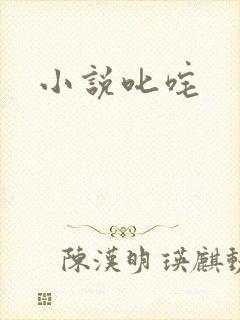 小说叱咤