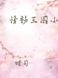 情动三国小说