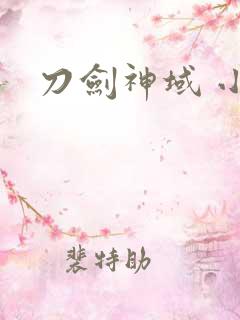 刀剑神域 小说