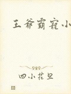王爷霸宠小甜妻
