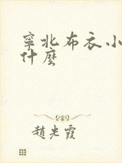 宁北布衣小说叫什么