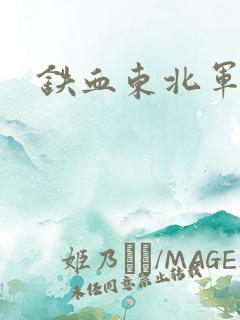 铁血东北军