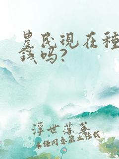 农民现在种地挣钱吗?
