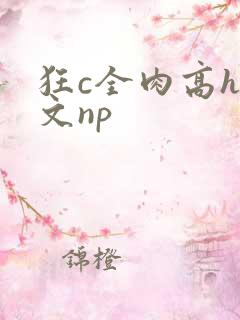 狂c全肉高h辣文np