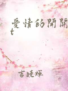 爱情的开关txt