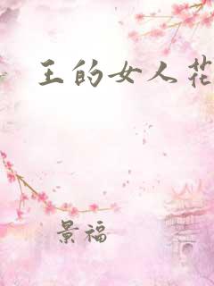 王的女人花倾国