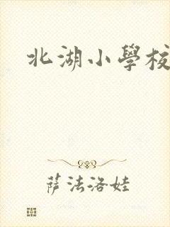 北湖小学校长
