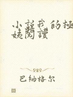 小说我的极品小姨阅读