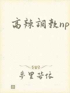 高辣调教np