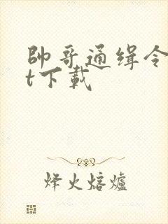 帅哥通缉令txt下载