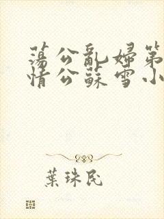 荡公乱妇第1章情公苏雪小说