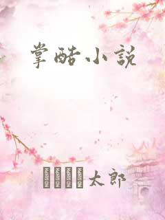 掌酷小说