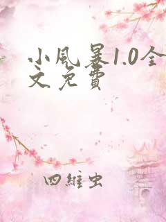 小风暴1.0全文免费