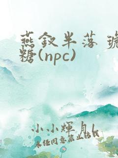 燕钗半落 琥珀糖(npc)