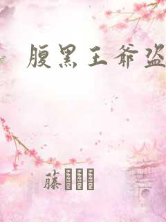 腹黑王爷盗墓妃