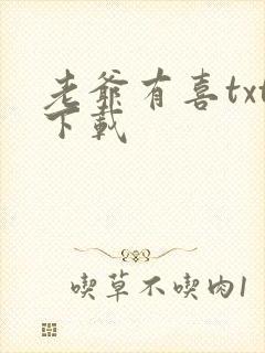 老爷有喜txt下载
