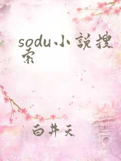 sodu小说搜索