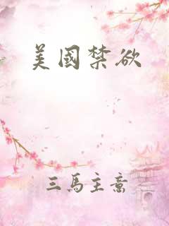 美国禁欲