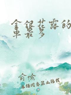 金银花露的哪个车最多