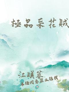 极品采花贼