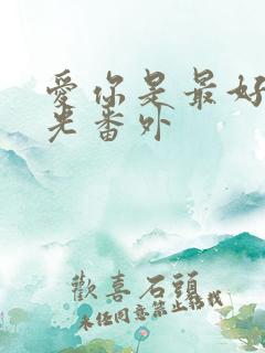爱你是最好的时光番外