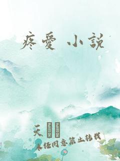 疼爱 小说