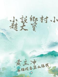 小说乡村小神医赵大宝