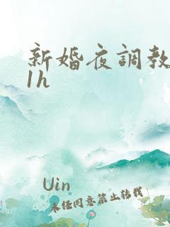 新婚夜调教1v1h