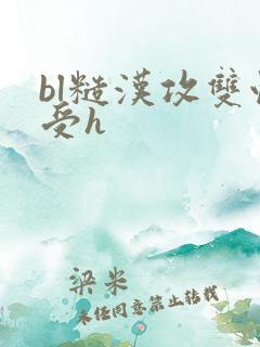 bl糙汉攻双性受h