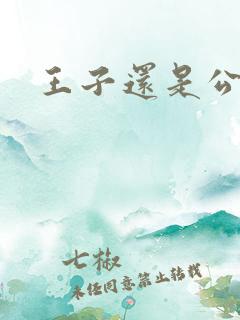 王子还是公主