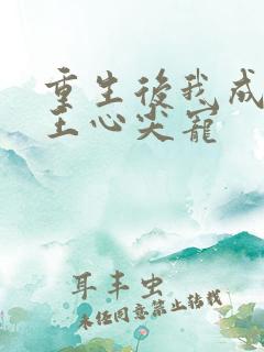 重生后我成了傻王心尖宠