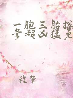 一胞三胎总裁爹爹超凶猛免费阅读