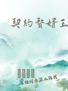 契约赘婿王羽