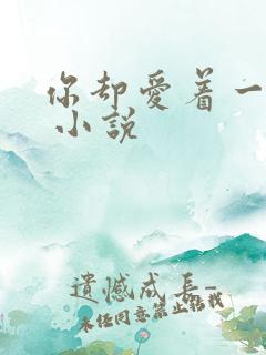 你却爱着一个他 小说