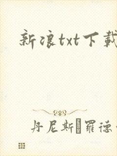 新浪txt下载