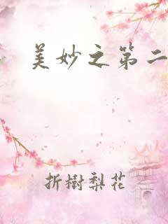 美妙之第二人生