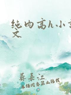 纯肉高h小说辣文